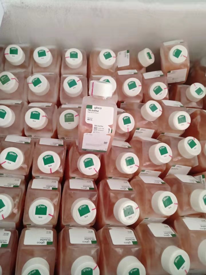 DMEM/高糖(含高糖、L-谷氨酰胺、酚紅，不含丙酮酸鈉、HEPES、磷酸鹽)產(chǎn)品已下架